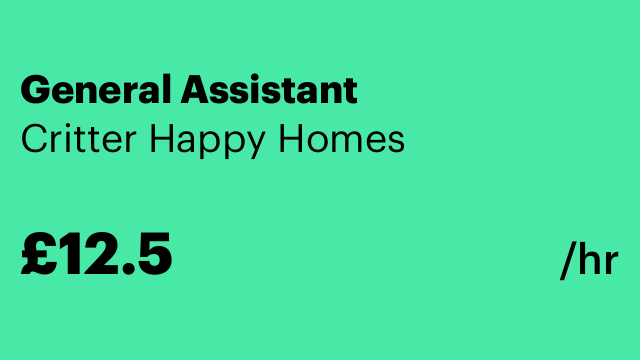 General Assistant