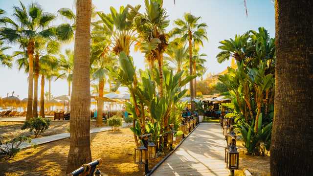 Office de Cocina - Cocinero/a