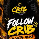CRIB logo