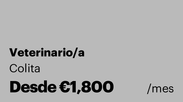 Veterinario/a