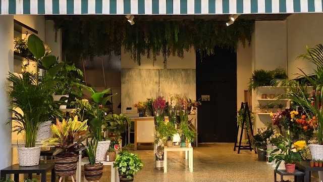 Ayudante/a de Florista y Almacén