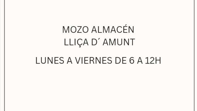 Mozo/a de Almacén