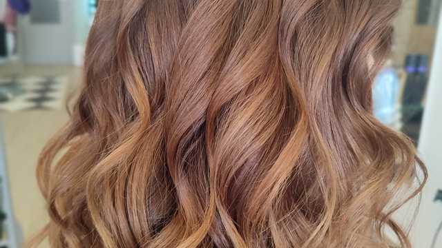 Ayudante/a de Peluquería