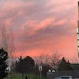 Wenwen S. avatar icon