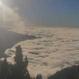 Antonio A. avatar icon