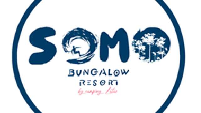 Auxiliar de mantenimiento