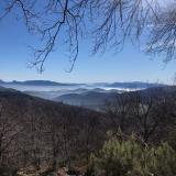 María G. avatar icon