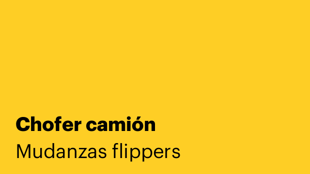 Chofer camión