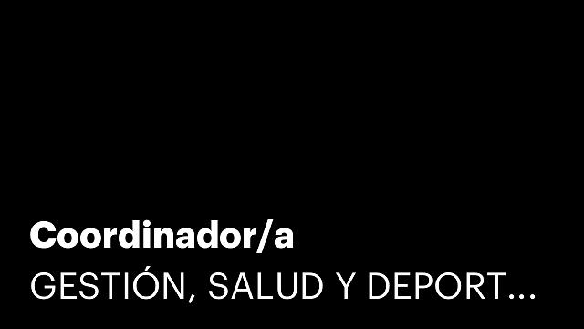 Coordinador/a