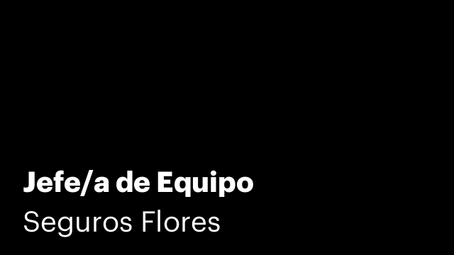 Jefe/a de Equipo
