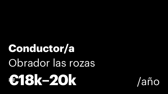 Conductor/a