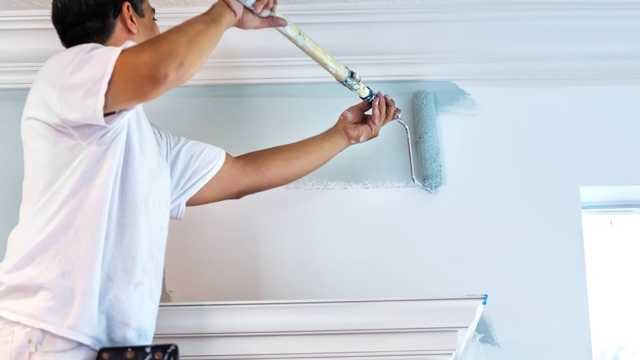 Pintor Profesional