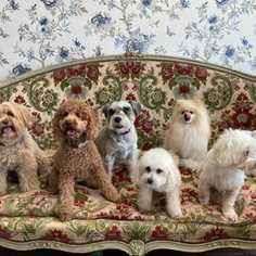 company photo