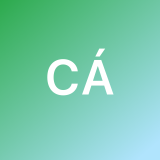 Carlos A  Á. avatar icon