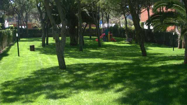 técnico en piscinas y oficial de jardinería