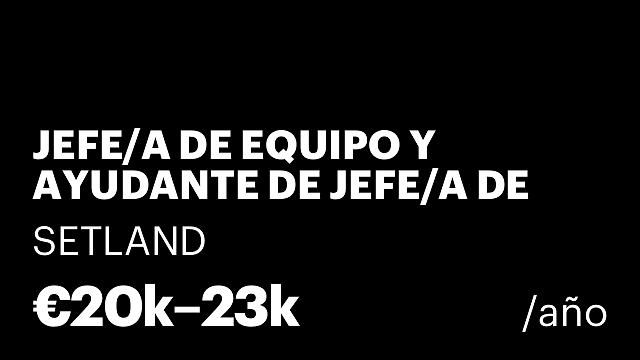 JEFE/A DE EQUIPO Y AYUDANTE DE JEFE/A DE EQUIPO