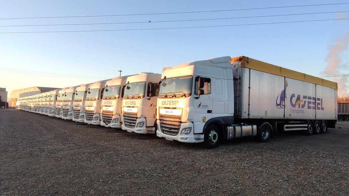 Cajebel, S.L cover image