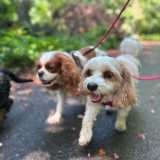 Jamie L. avatar icon