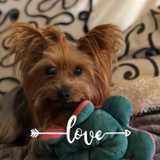 Juan Maria M. avatar icon