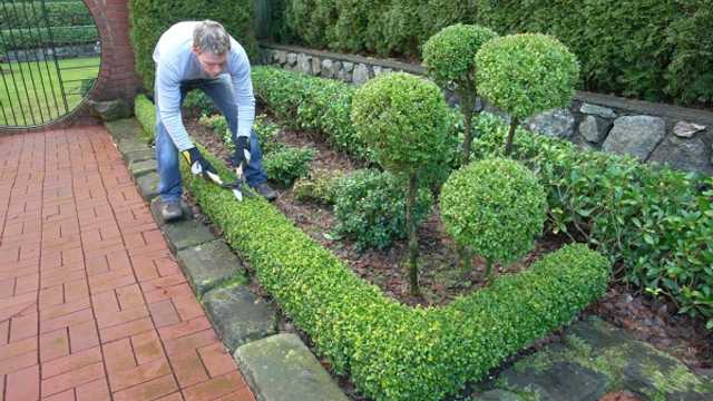 Oficial de jardineria