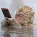 yannick E. avatar icon