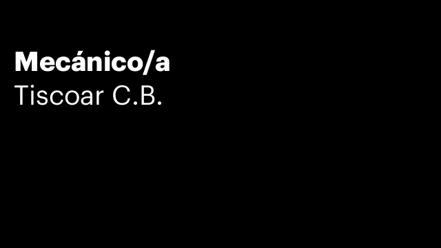 Mecánico/a