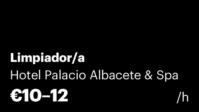 Limpiador/a