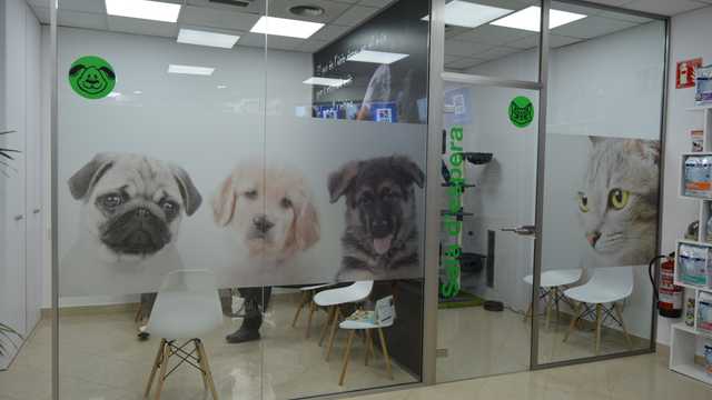 Veterinario/a