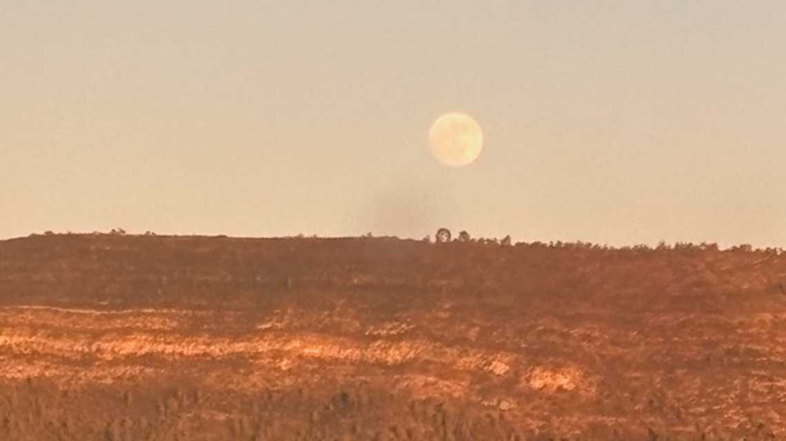 RICO Magazine cover image