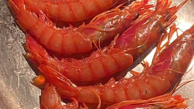 Director/a de Restaurante