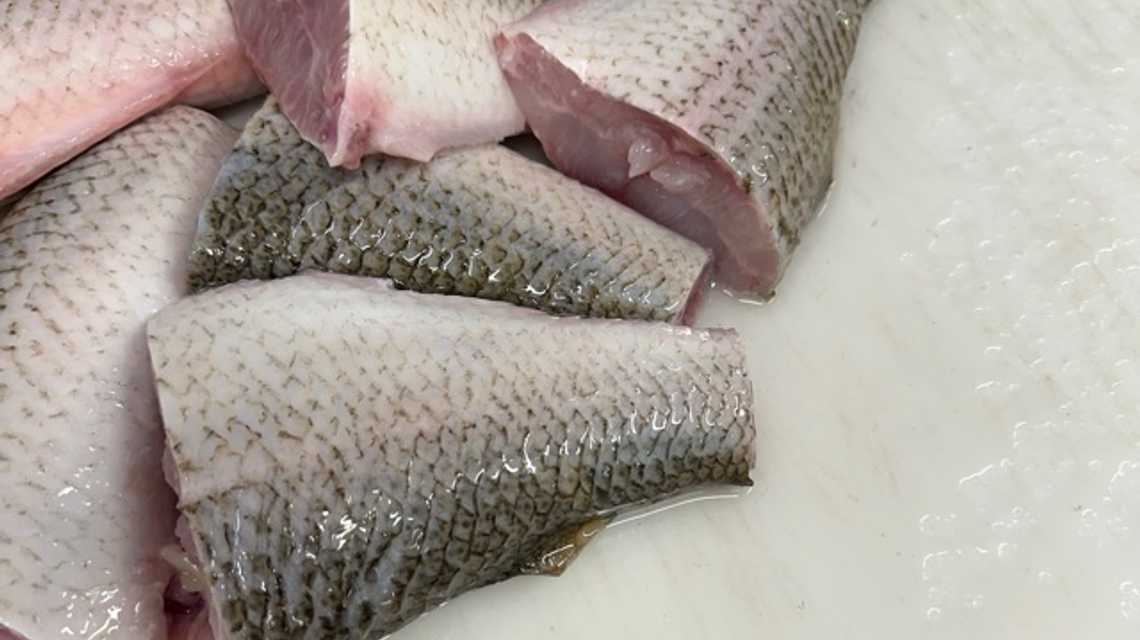 Fish company  cover image