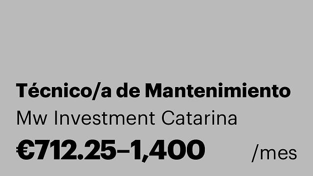 Técnico/a de Mantenimiento