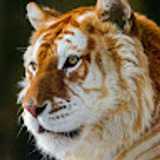 Maria O. avatar icon