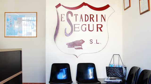 Vigilante de Seguridad