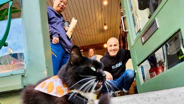 Cafe Waiter / Waitress