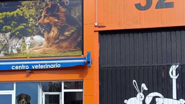 Dependiente/a de Tienda