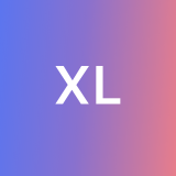 Xin L. avatar icon