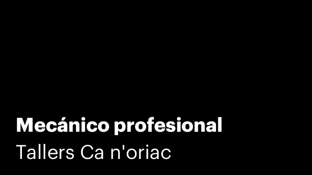 Mecánico profesional