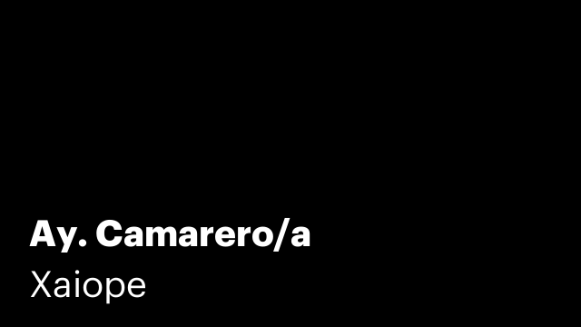 Ay. Camarero/a