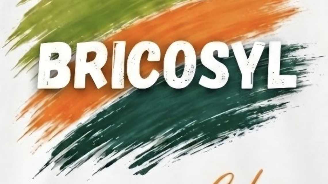 BRICOSYL  cover image