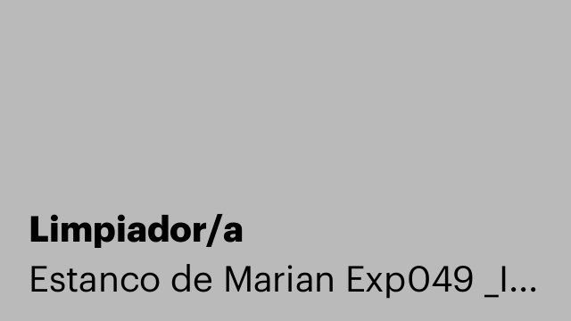 Limpiador/a