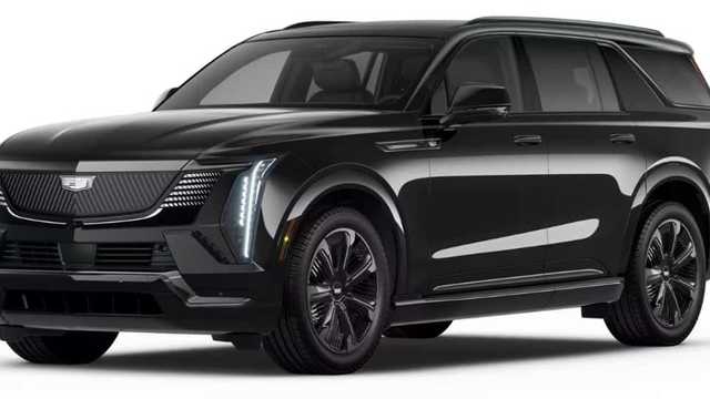 Private Chauffeur Driver