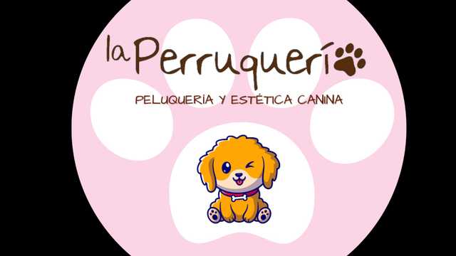 Ayudante/a de Peluquería