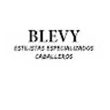 Blevy E. avatar icon