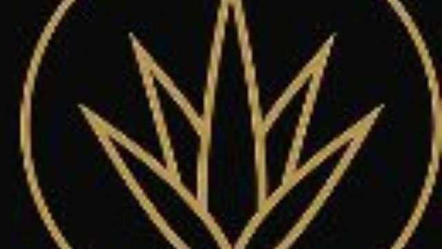 Camarera de Restaurante