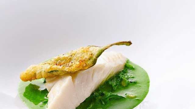 Freelance Videographer