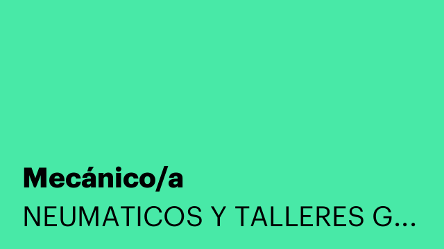 Mecánico/a