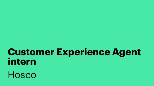 Customer Experience Agent intern