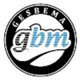 Gesbema C. avatar icon