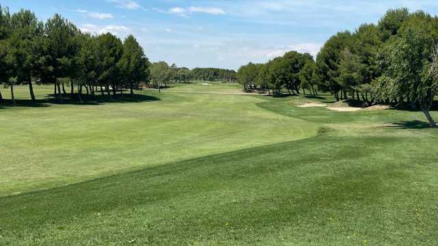 Camarero/a de Restaurante